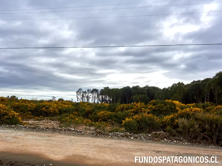 Venta en Puerto Montt | Parcelación Altos del Valle