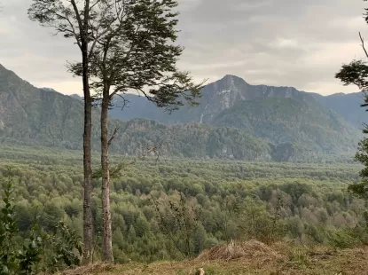 Parcela Nevados de Pucón